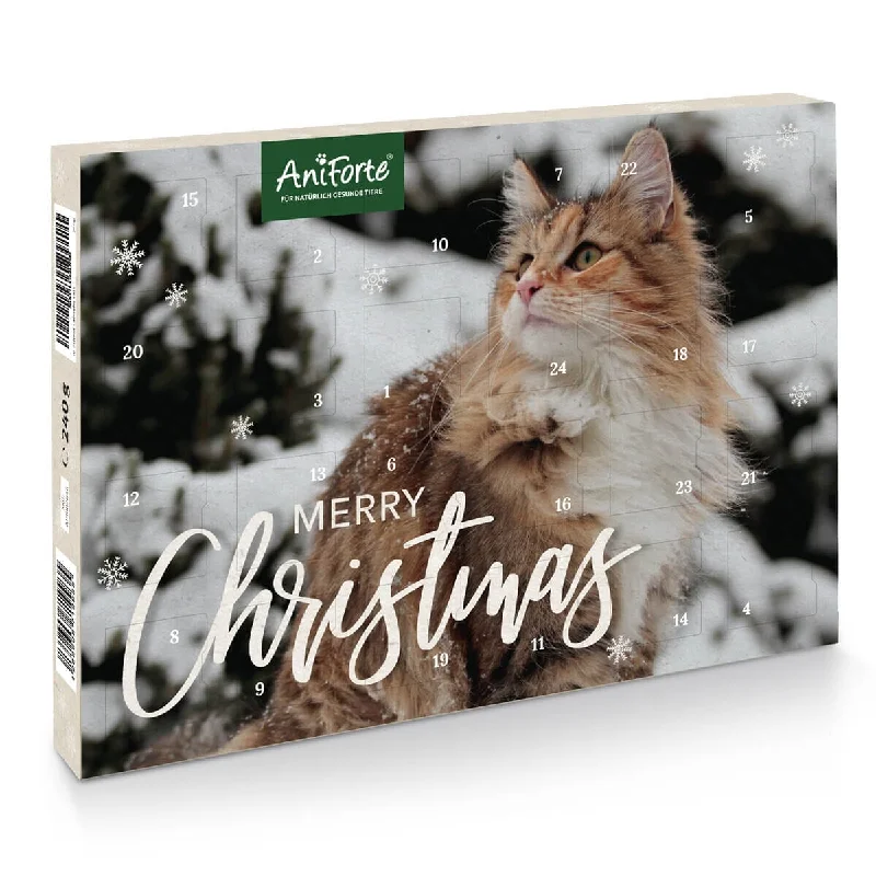 Advent Calendar "Merry Christmas" for Cats