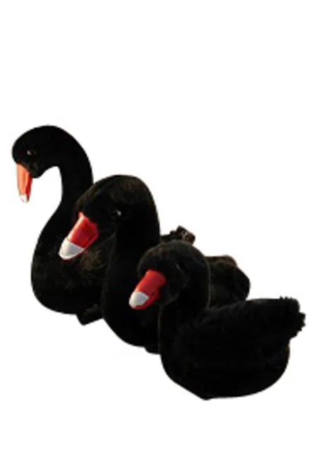 Plush Black Swan