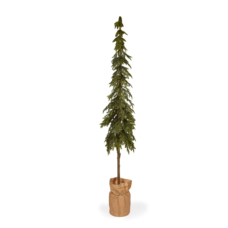 206 Cm Potted Nordic Pine Tree