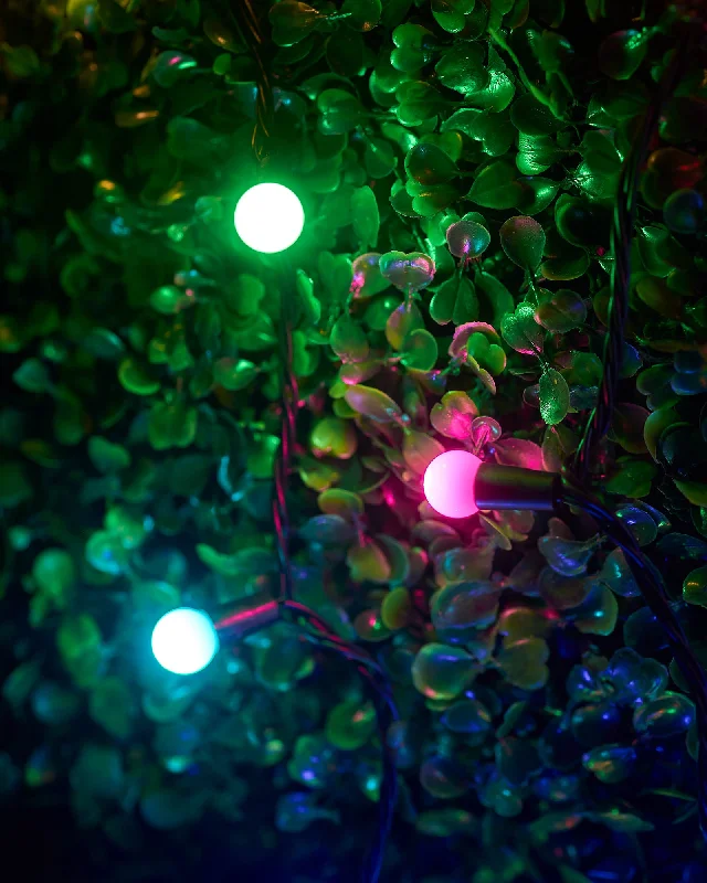 LINK UP LED Berry Lights, Black Cable, Pastel Colour